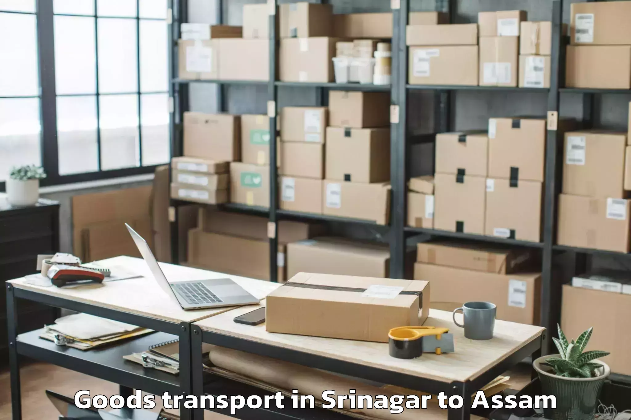 Reliable Srinagar to Duliajan Goods Transport